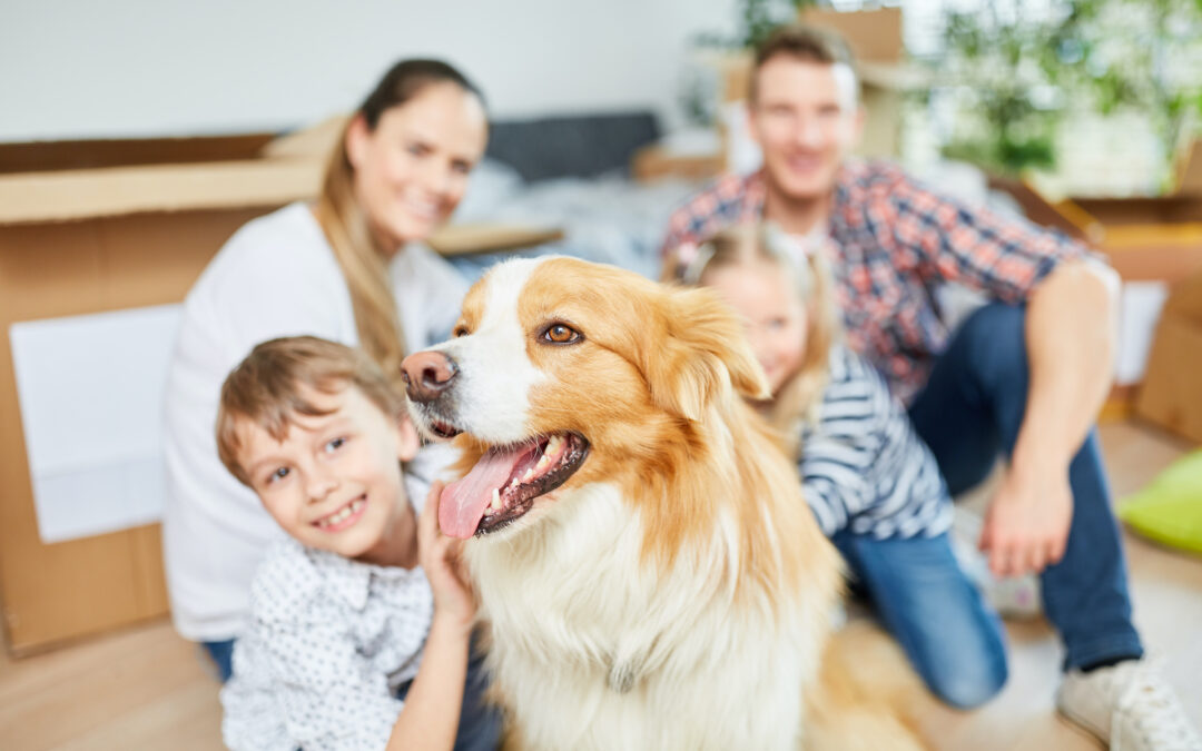 Is a pet-friendly rental the right move for your property?