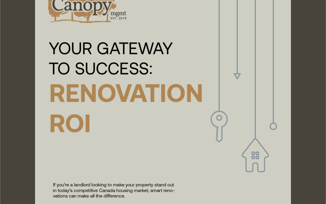 How to renovate your rental property for the best ROI in 2025